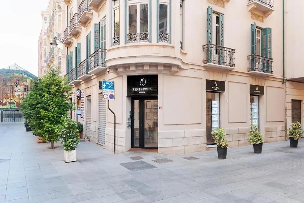 Pineapple Trinidad 20 Apartment Malaga Spain