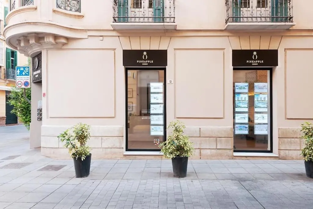 Pineapple Trinidad 20 Apartment Malaga